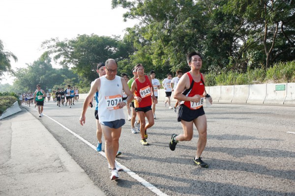 Asics 10K 2010 740