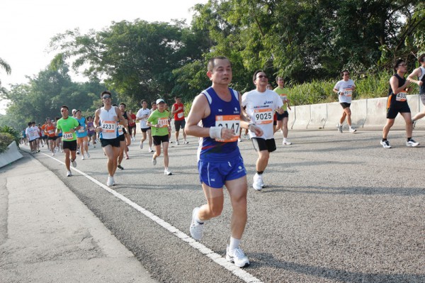 Asics 10K 2010 746