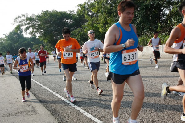 Asics 10K 2010 750
