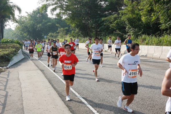 Asics 10K 2010 799