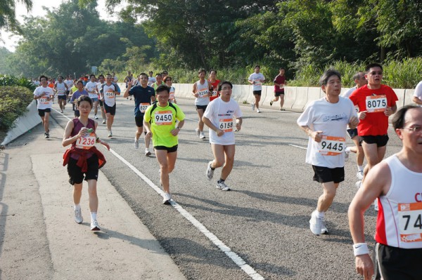 Asics 10K 2010 801