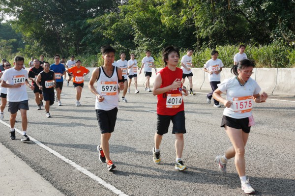 Asics 10K 2010 870