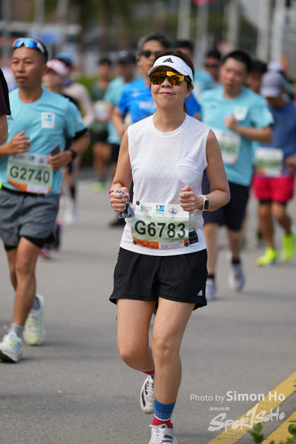 SIM02244