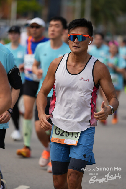 SIM02532