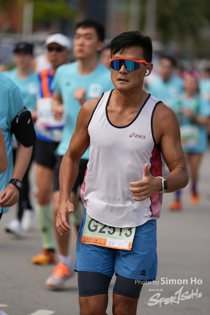 SIM02533