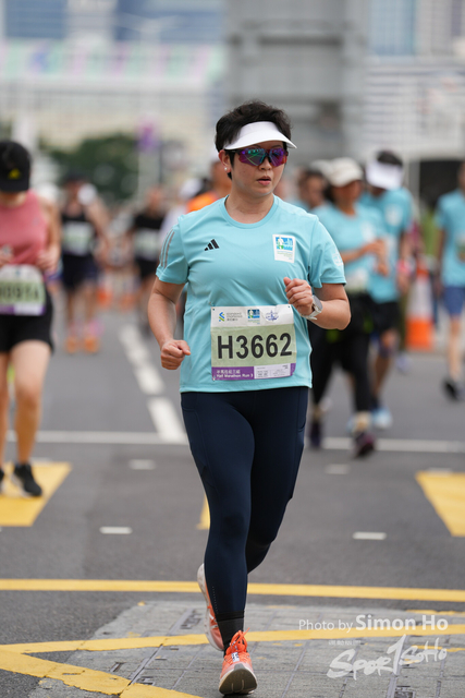 SIM04733